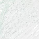 Beauty of Joseon Green Plum Refreshing Cleanser - Image 7