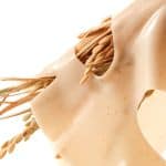 Anua Rice 70 Glow Collagen Mask 3-Pack - Image 6