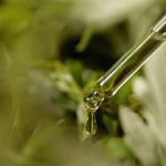 I'm From Mugwort Serum - Image 4