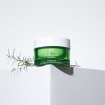 Dr. Ceuracle Tea Tree Purifine 80 Cream - Image 2