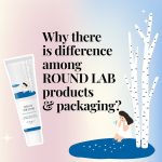 ROUND LAB Birch Juice Moisturizing Sun Cream SPF50 + PA + + + + - Image 4