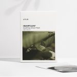 Anua Heartleaf 77% Soothing Sheet Mask - Image 5