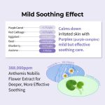 Numbuzin No.1 Purple Complex Moisture Balancing Soothing Cream - Image 8
