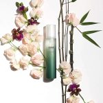 Haruharu Wonder Black Bamboo Mist - Image 2