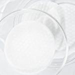 Celimax Ji Woo Gae One Step Body Brightening Pad - Image 4