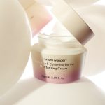 Haruharu Wonder Black Rice 5 Ceramide Barrier Moisturizing Cream - Image 4