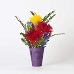Haruharu Wonder Maqui Berry Anti-Oxidant Cream - Image 3