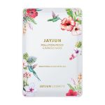 JAYJUN Pollution-Proof Luminous Mask
