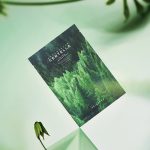 SKIN1004 Madagascar Centella Tea-Trica Relaxing Mask 5-Pack - Image 3