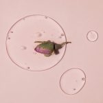 AROMATICA Reviving Rose Infusion Serum - Image 8