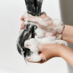 Dr. Ceuracle Scalp DX Scaling Shampoo - Image 4