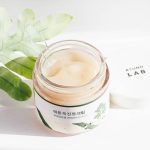 ROUND LAB Mugwort Calming Cream - Image 4