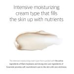 ROUND LAB Soybean Nourishing Cream - Image 5