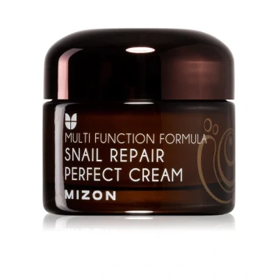 Mizon Multi Function Formula Snail Face cream with snail secretion filtrate 60% – 50 ml