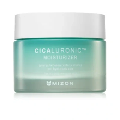 Mizon Cicaluronic™ Nourishing and moisturising cream for very dry and sensitive skin – 50 ml